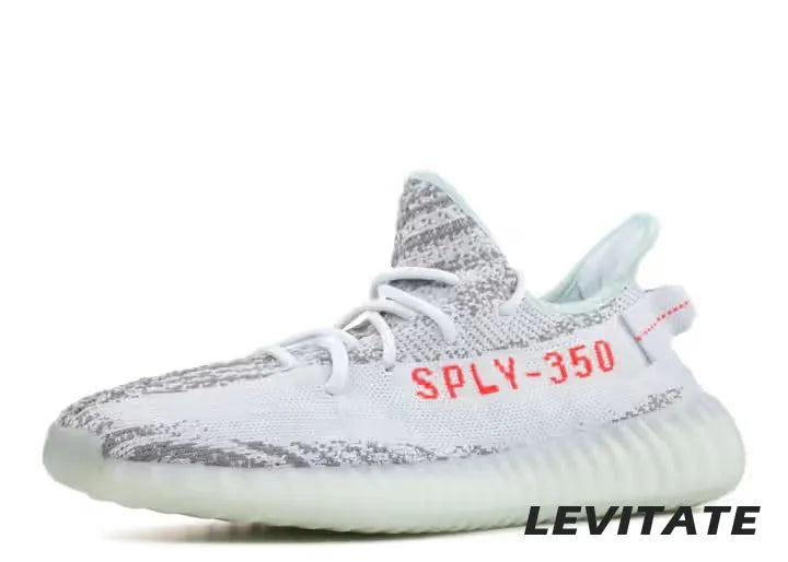 Adidas Yeezy Boost 350 V2 'Blue Tint '