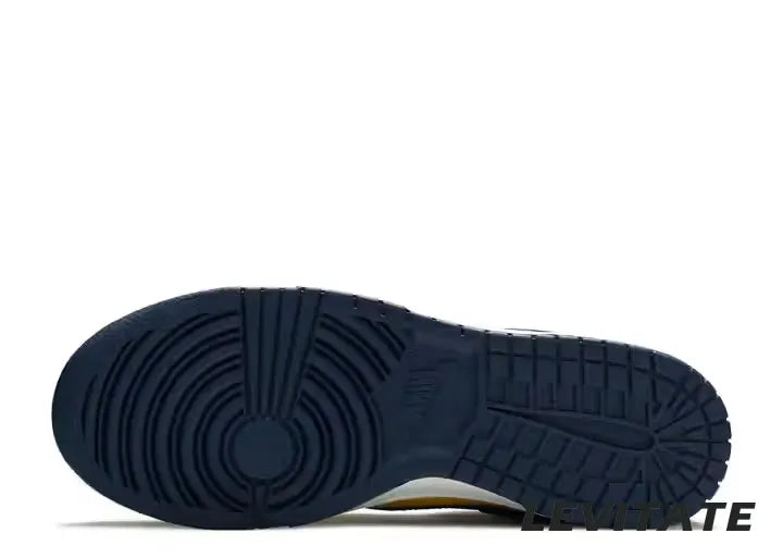 Nike Dunk Low 'Michigan' (2021) Mens
