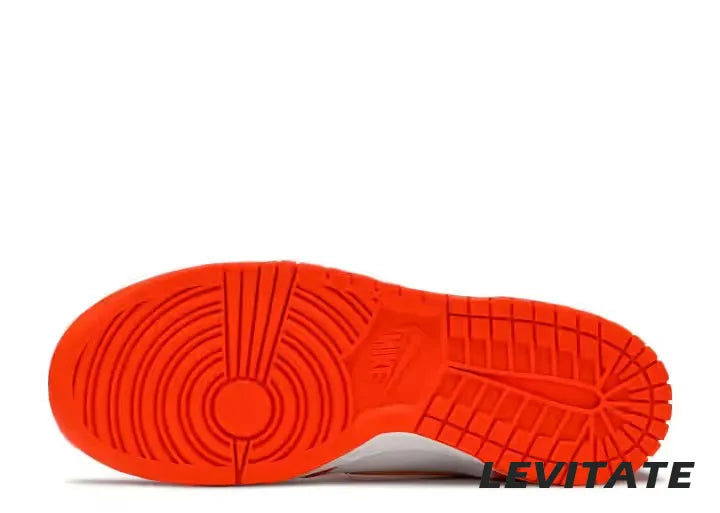 Nike Dunk High SP 'Syracuse' 2021 GS