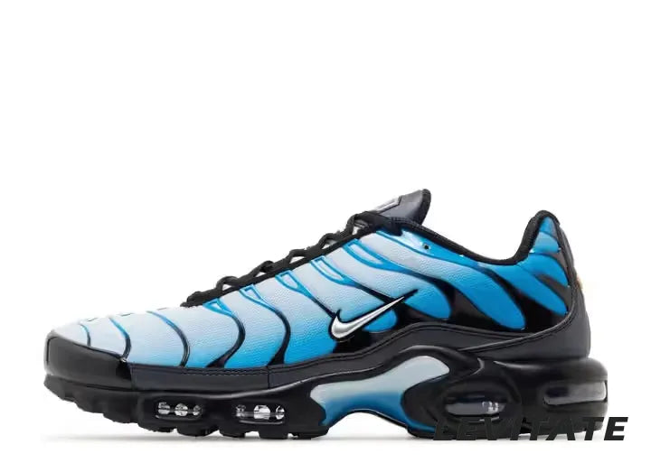 Nike Air Max Plus 'Blue Gradient' Mens