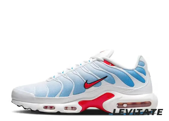Nike Air Max Plus 'Tide'
