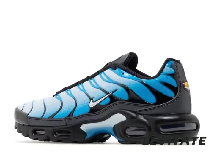 Nike Air Max Plus 'Blue Gradient' Mens